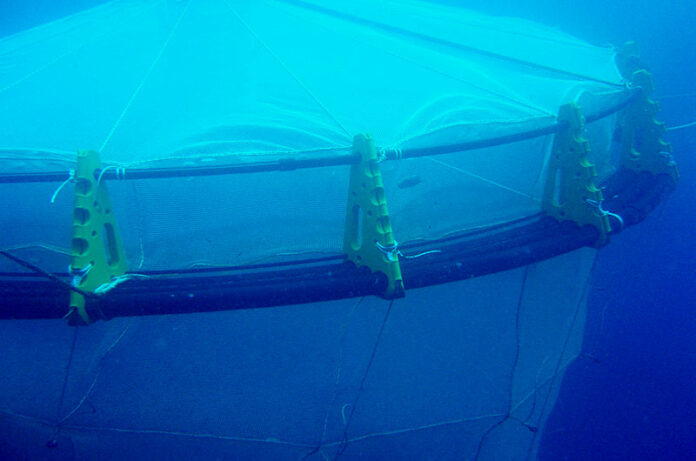 cage d'aquaculture resistante au cyclone et ouragan